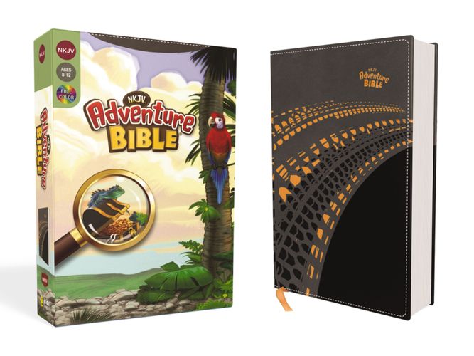 NKJV, Adventure Bible, Leathersoft, Gray, Full Color