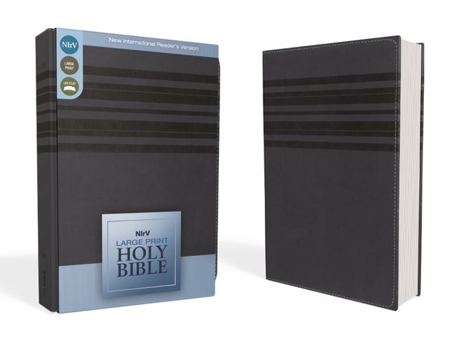 NIrV, Holy Bible, Large Print, Leathersoft, Blue