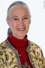 Jane Goodall - image