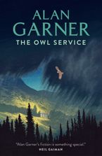 The Owl Service Paperback  by Alan Garner