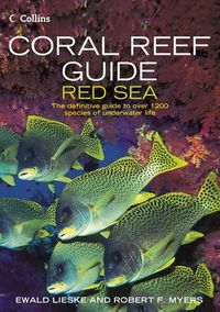coral-reef-guide-red-sea
