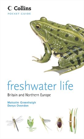 Freshwater Life (Collins Pocket Guide)