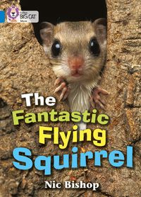 the-fantastic-flying-squirrel-band-04blue-collins-big-cat