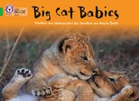 big-cat-babies-band-05green-collins-big-cat