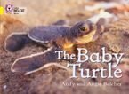 The Baby Turtle: Band 03/Yellow (Collins Big Cat) Paperback  by Andy Belcher