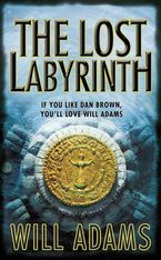 The Lost Labyrinth Paperback  by Will Adams