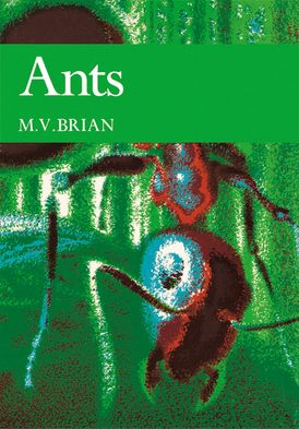 Ants (Collins New Naturalist Library, Book 59)
