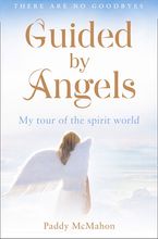 Guided By Angels: There Are No Goodbyes, My Tour of the Spirit World Paperback  by Paddy McMahon
