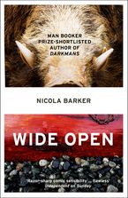 Wide Open Paperback  by Nicola Barker