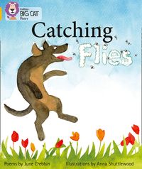 catching-flies-band-09gold-collins-big-cat