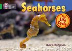 Seahorses: Band 05/Green (Collins Big Cat)