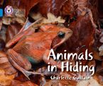 Animals in Hiding: Band 04/Blue (Collins Big Cat) Paperback  by Charlotte Guillain