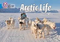 arctic-life-band-04blue-collins-big-cat