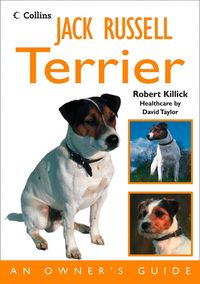 jack-russell-terrier-an-owners-guide