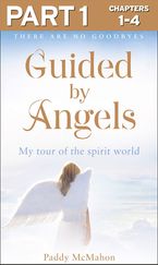 Guided By Angels: Part 1 of 3: There Are No Goodbyes, My Tour of the Spirit World