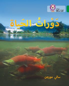 Life Cycles: Level 15 (Collins Big Cat Arabic Reading Programme)