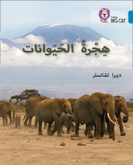 Animal Migration: Level 13 (Collins Big Cat Arabic Reading Programme)