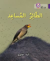 the-helper-bird-level-8-collins-big-cat-arabic-reading-programme