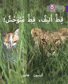 Tame Cat, Wild Cat: Level 8 (Collins Big Cat Arabic Reading Programme)