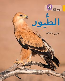 Birds: Level 9 (Collins Big Cat Arabic Reading Programme)