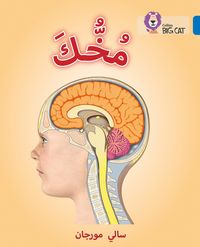 your-brain-level-16-collins-big-cat-arabic-reading-programme