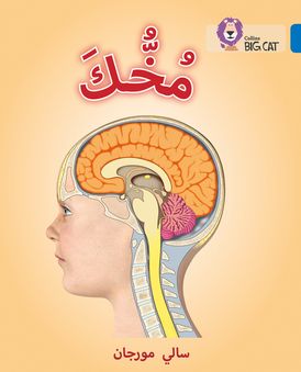Your Brain: Level 16 (Collins Big Cat Arabic Reading Programme)