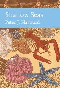 shallow-seas-collins-new-naturalist-library-book-131