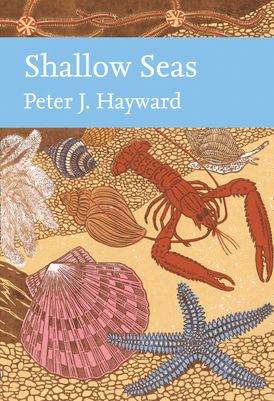 Shallow Seas (Collins New Naturalist Library, Book 131)