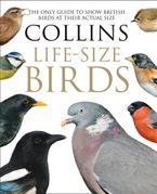 Collins Life-Size Birds: The Only Guide to Show British Birds at their Actual Size Hardcover  by Paul Sterry