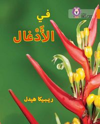 in-the-jungle-level-6-collins-big-cat-arabic-reading-programme