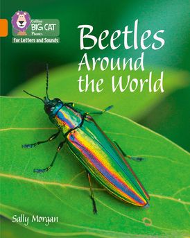 Collins Big Cat Phonics for Letters and Sounds – Beetles Around the World: Band 06/Orange