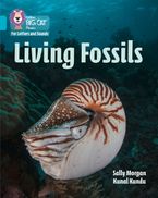 Collins Big Cat Phonics for Letters and Sounds – Living Fossils: Band 07/Turquoise Paperback  by Sally Morgan