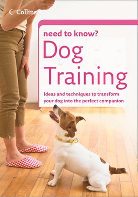 Dog Training (Collins Need to Know?)