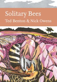 solitary-bees-collins-new-naturalist-library