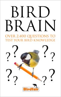 bird-brain-over-2400-questions-to-test-your-bird-knowledge