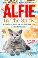 Alfie in the Snow (Alfie series, Book 5) Paperback  by Rachel Wells