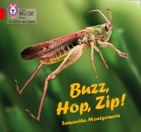 collins-big-cat-phonics-for-letters-and-sounds-buzz-hop-zip-band-02ared-a