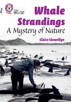 Whale Strandings: A Mystery of Nature: Band 10+/White Plus (Collins Big Cat)