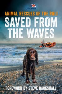 saved-from-the-waves-animal-rescues-of-the-rnli
