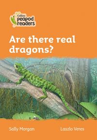 level-4-are-there-real-dragons-collins-peapod-readers