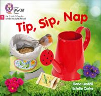 big-cat-phonics-for-little-wandle-letters-and-sounds-revised-tip-sip-nap-phase-2