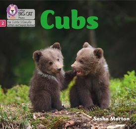 Cubs: Phase 2 Set 5 (Big Cat Phonics for Little Wandle Letters and Sounds Revised)
