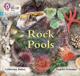 Big Cat Phonics for Little Wandle Letters and Sounds Revised – Rock Pools: Phase 3