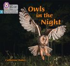 Big Cat Phonics for Little Wandle Letters and Sounds Revised – Owls in the Night: Phase 3 Set 2 Paperback  by Catherine Baker
