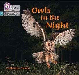 Big Cat Phonics for Little Wandle Letters and Sounds Revised – Owls in the Night: Phase 3