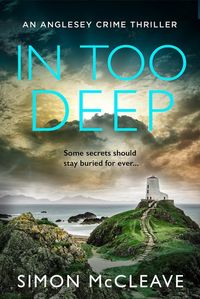 in-too-deep-the-anglesey-series-book-2