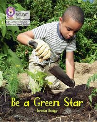 be-a-green-star-phase-4-set-2-stretch-and-challenge-big-cat-phonics-for-little-wandle-letters-and-sounds-revised