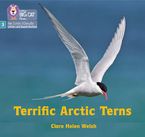 Big Cat Phonics for Little Wandle Letters and Sounds Revised – Terrific Arctic Terns: Phase 3 Set 2