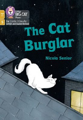 Big Cat Phonics for Little Wandle Letters and Sounds Revised – Age 7+ – The Cat Burglar: Phase 5 Set 1