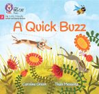 A Quick Buzz: Phase 2 Set 5 Blending practice (Big Cat Phonics for Little Wandle Letters and Sounds Revised)